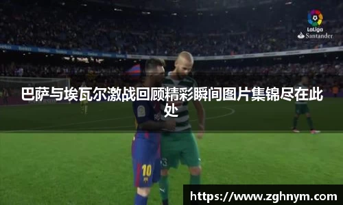 星空.综合体育官网