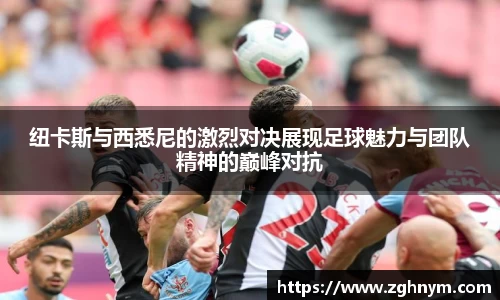 星空.综合体育(中国)官方网站
