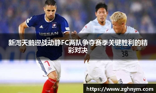 新泻天鹅迎战动静FC两队争夺赛季关键胜利的精彩对决