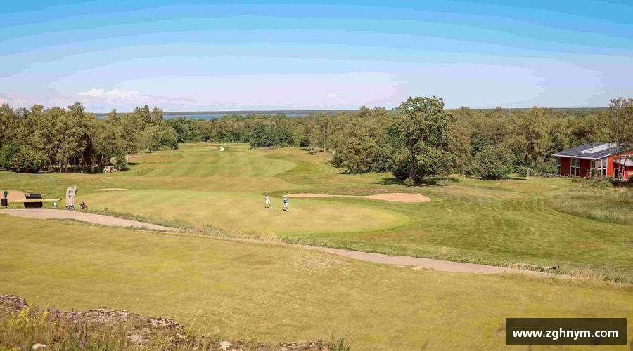 悟空体育平台从赛场到生活，用专业守护你的热爱！❤️‍🔥🎯